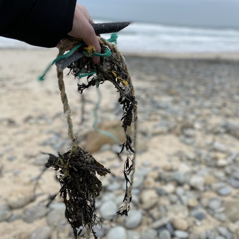 collecting trash at the beach