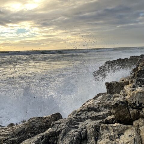 stormy ocean waves with sunset splashing onto rocks